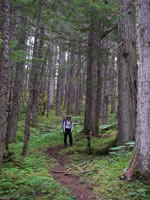 2006-08-03 10-05-00_0241.jpg (136kb)